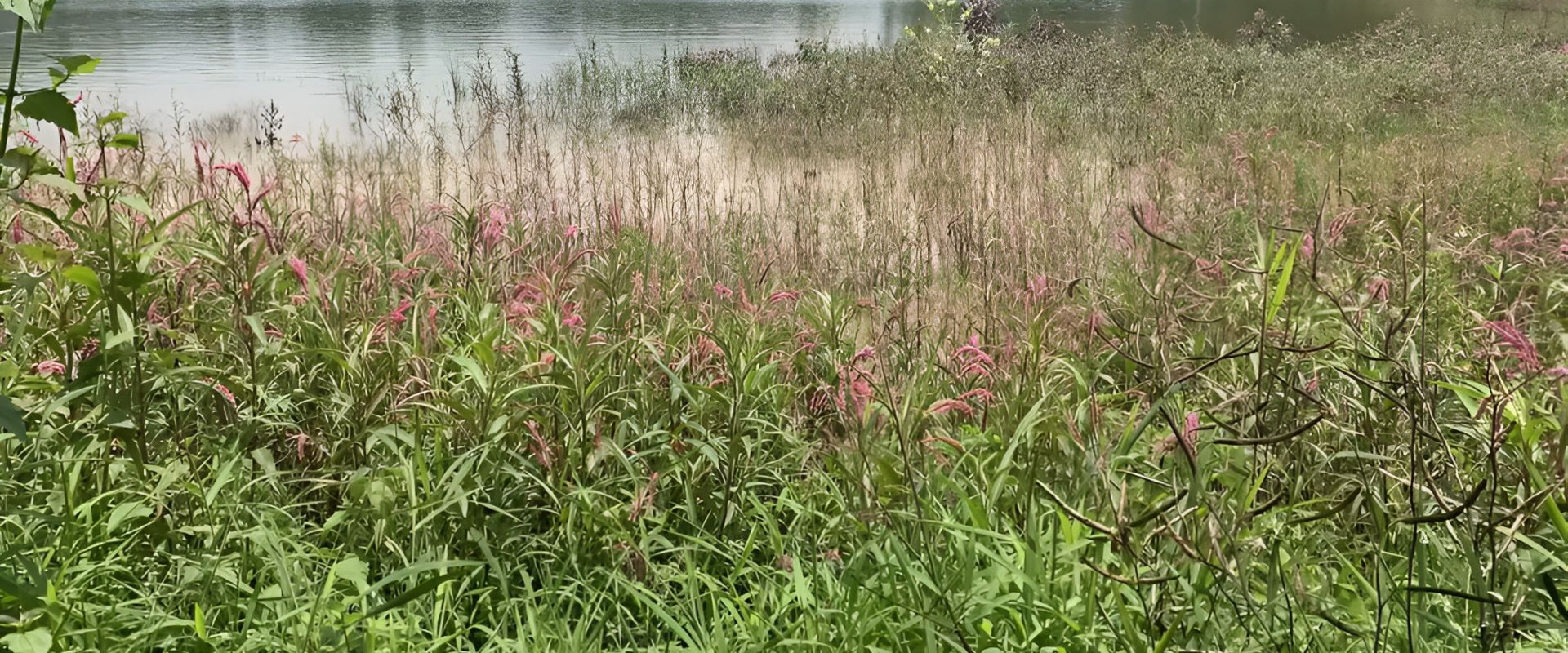 PK Resorts Hero Image 3