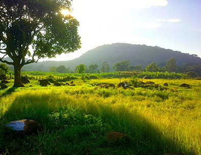 PK Resorts, Yelagiri