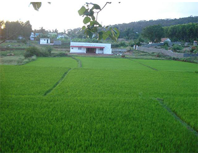 PK Resorts, Yelagiri